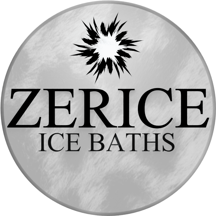Zerice Official Logo