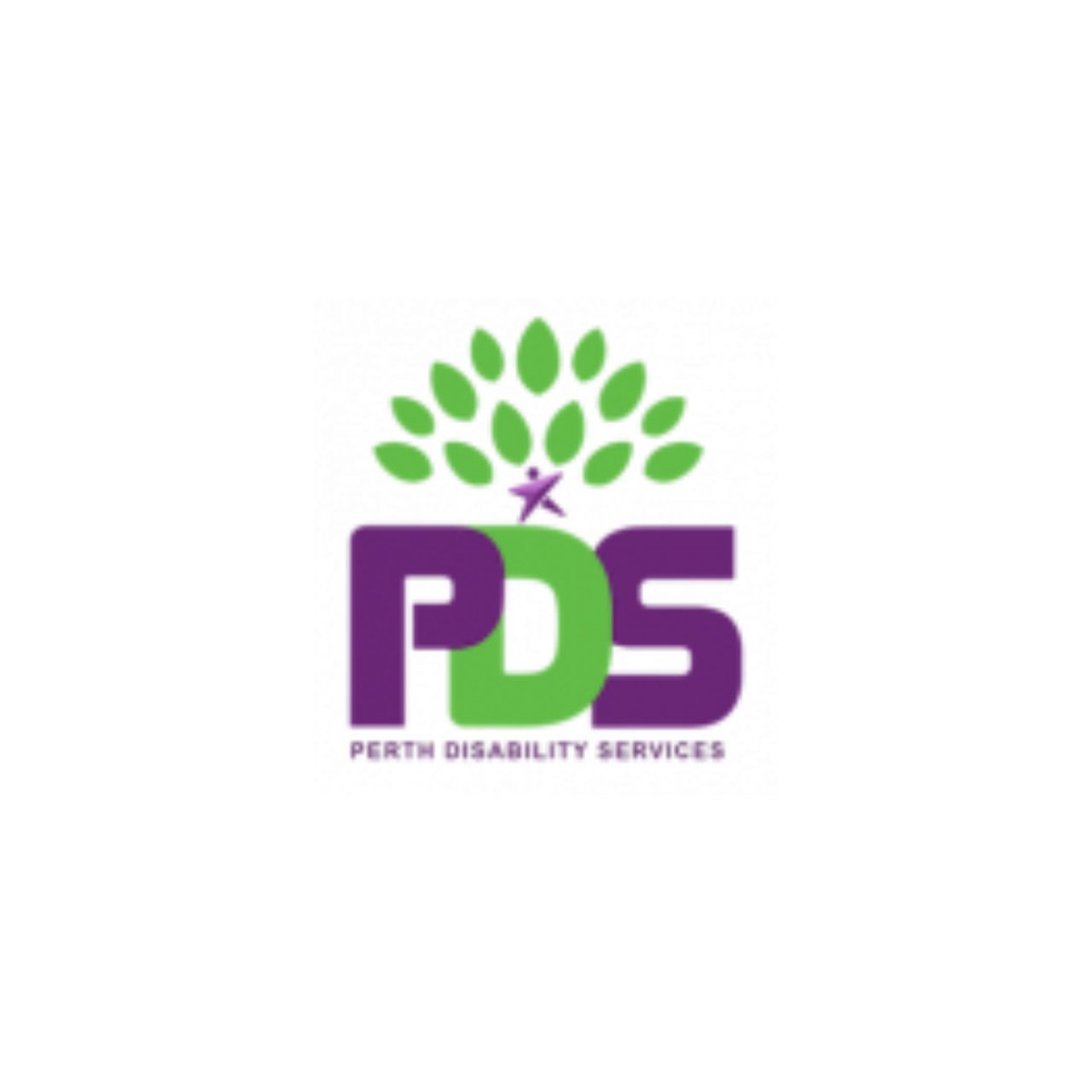 Perth Disability Services Official Logo