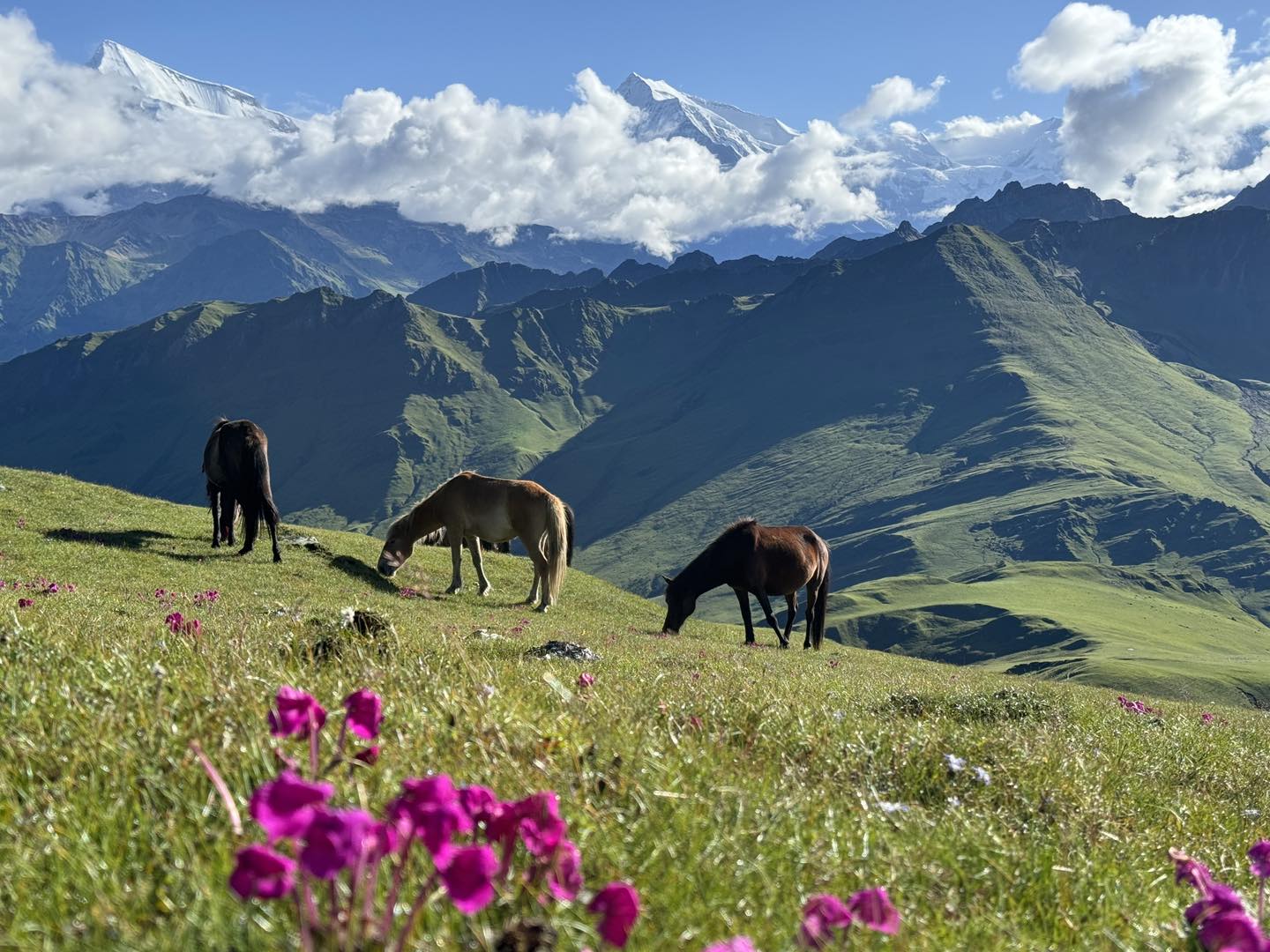 Photo of Blaze Mountain Travel & Tour
