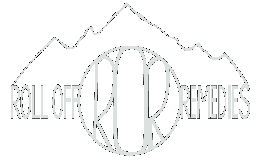 Roll Off Remedies Inc Official Logo