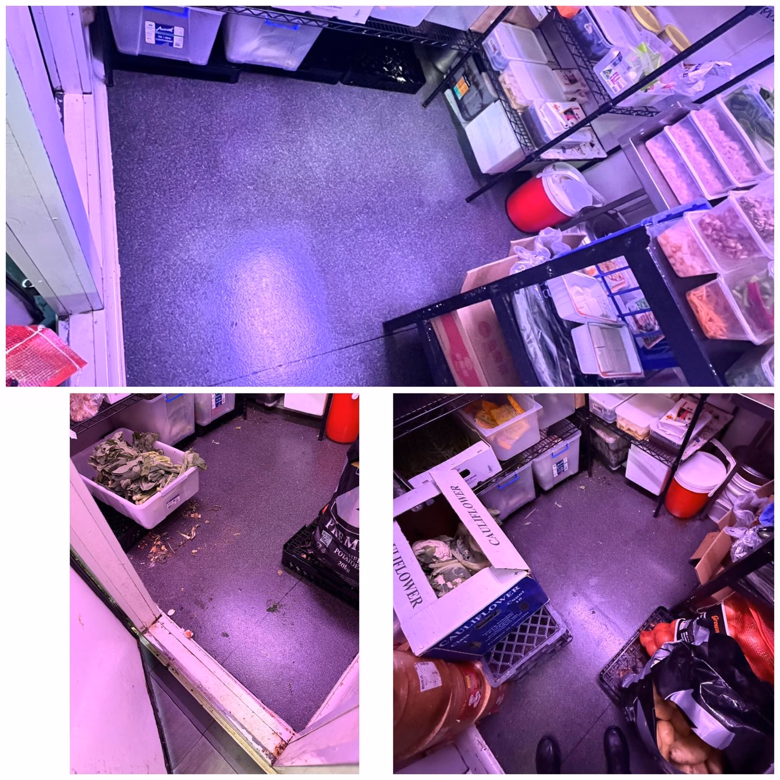 Photo of Deep Commercial Cleaning