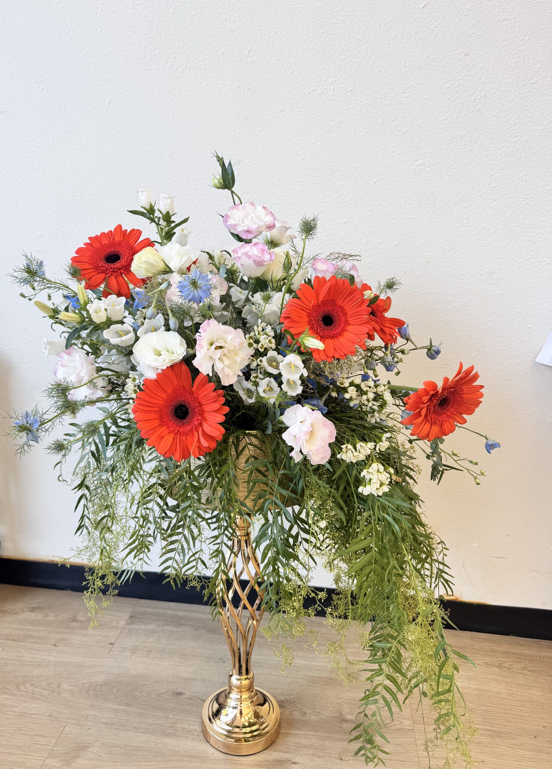 Photo of Hollywood Blooms