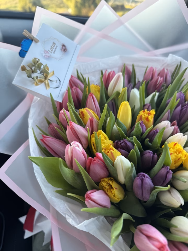 Photo of Hollywood Blooms