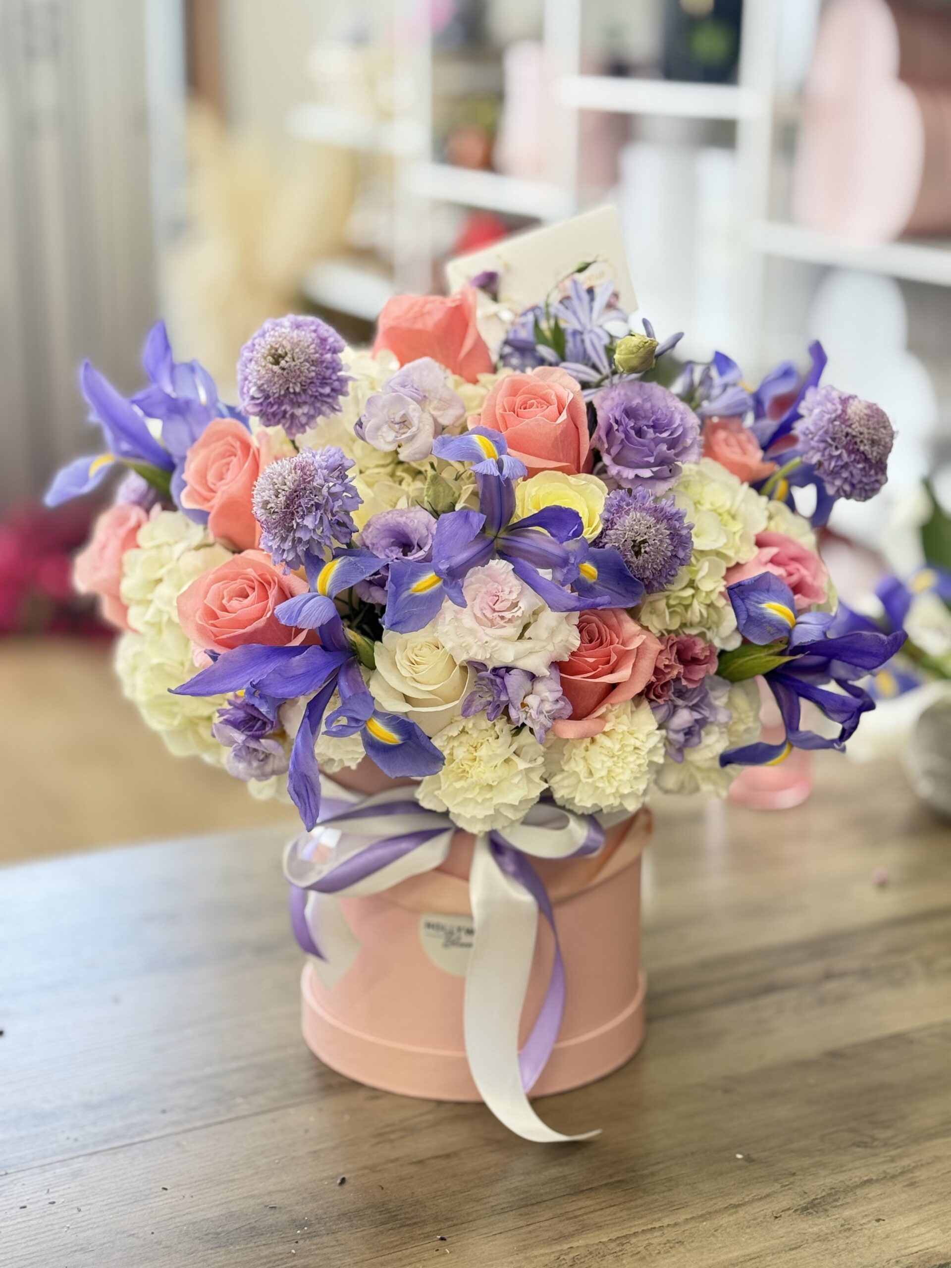 Photo of Hollywood Blooms