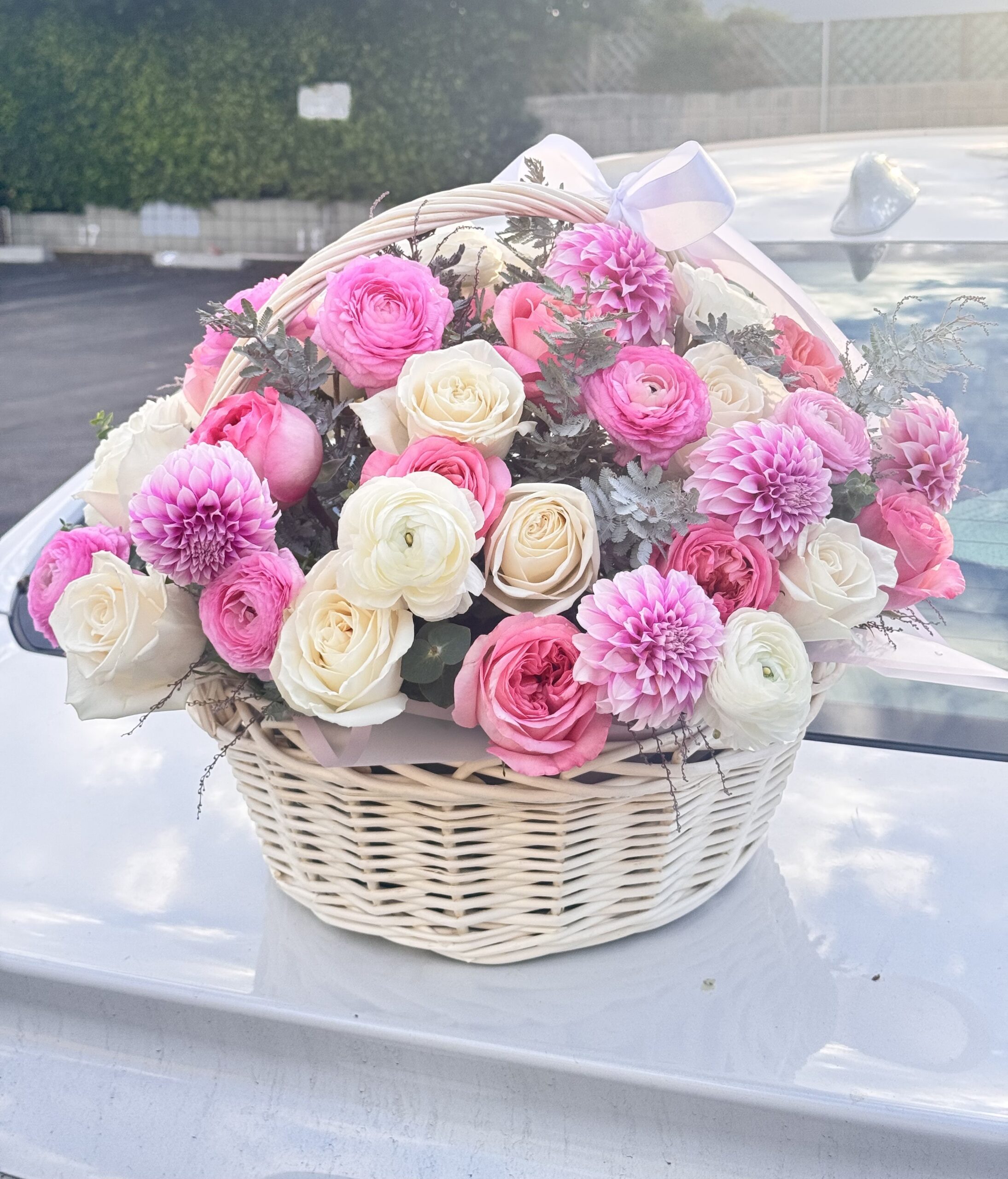 Photo of Hollywood Blooms