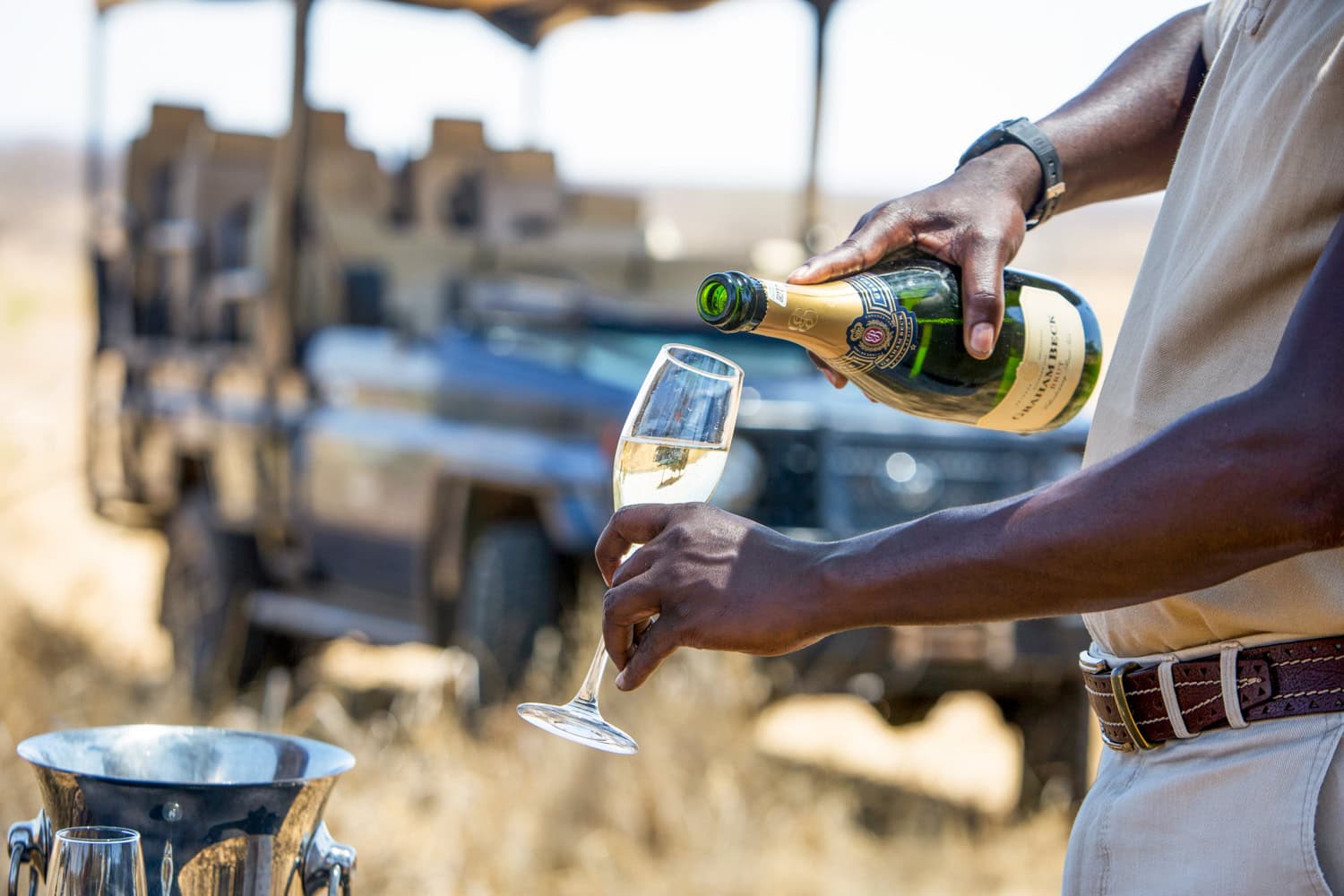 Photo of Safari Stride