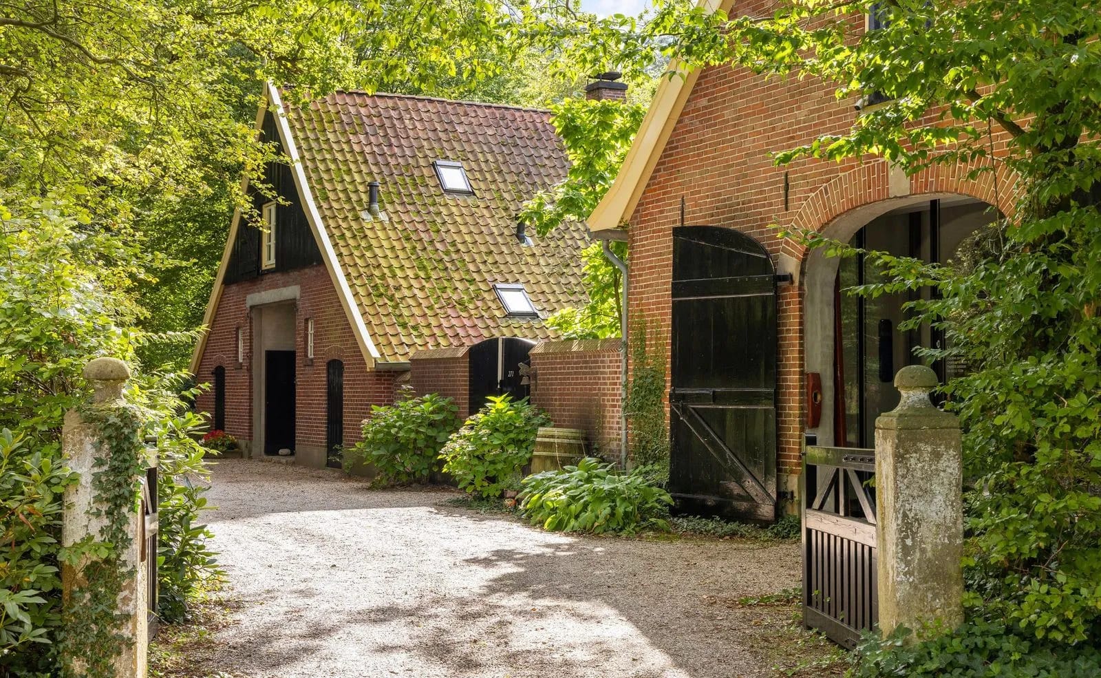 Photo of Thoma Bennink