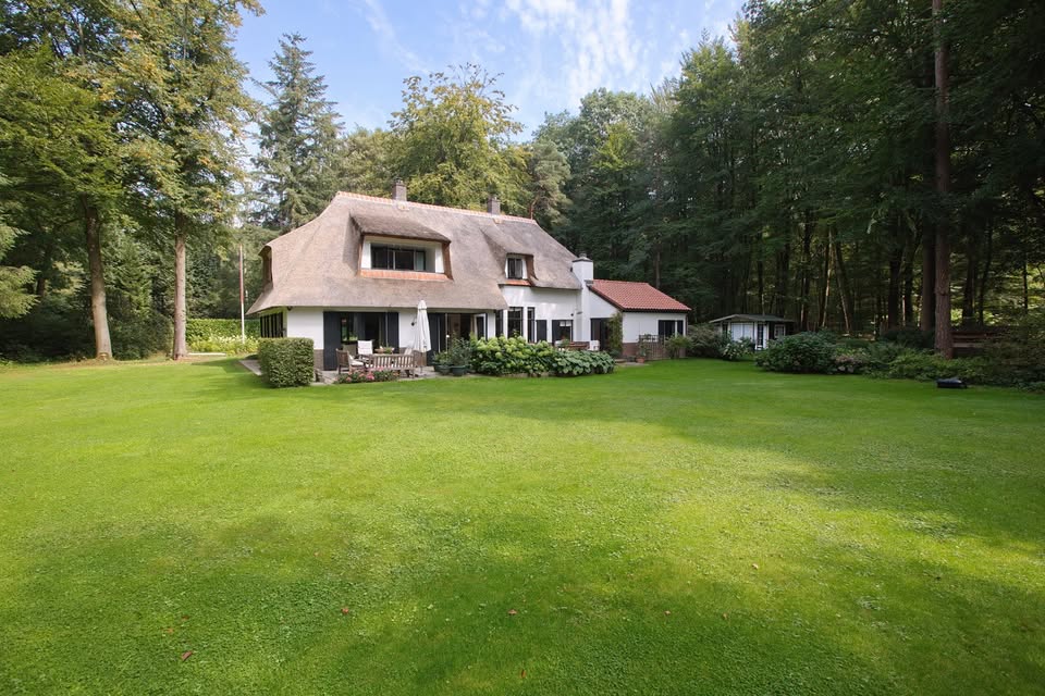 Photo of Thoma Bennink