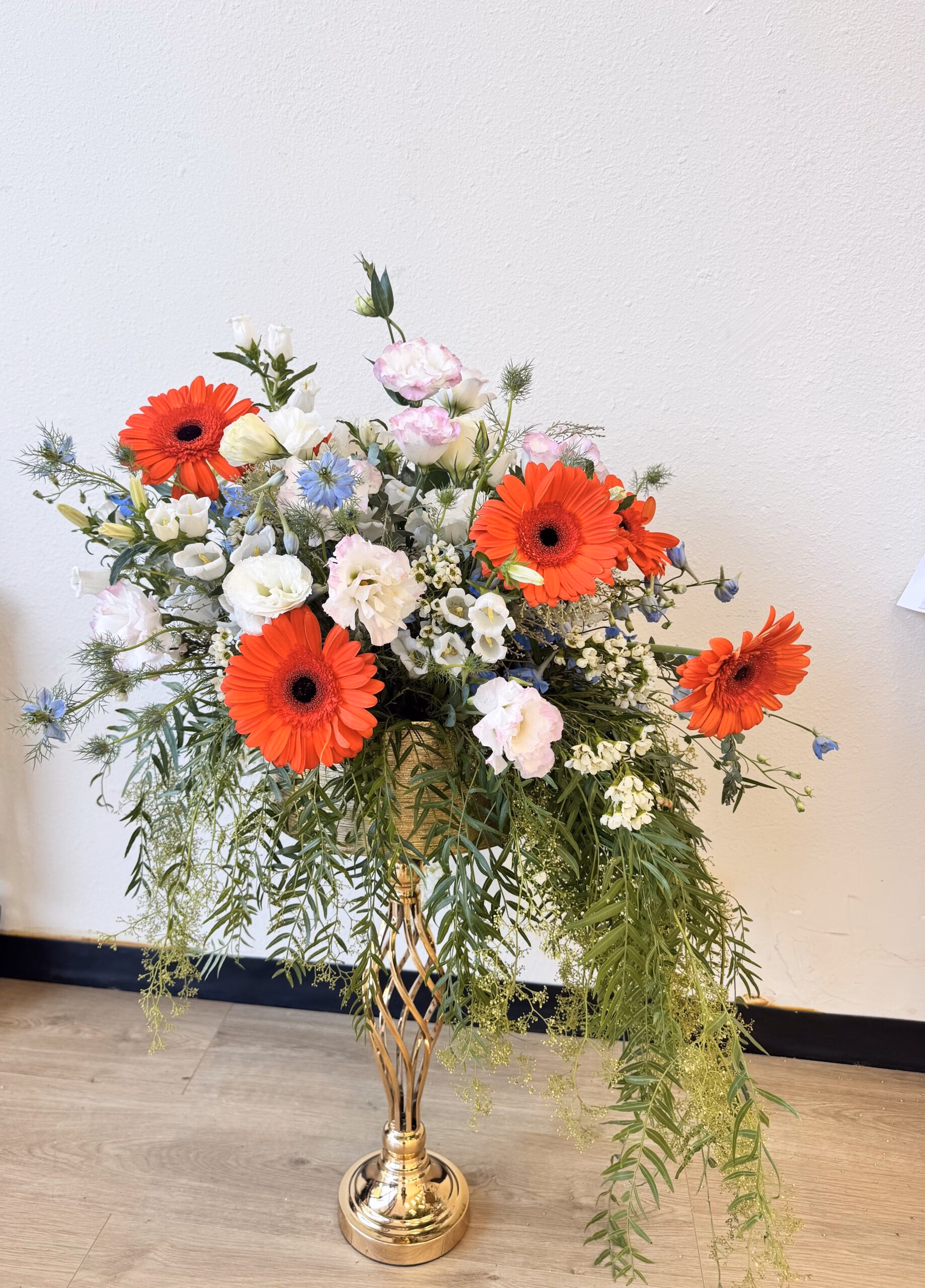 Photo of Hollywood Blooms