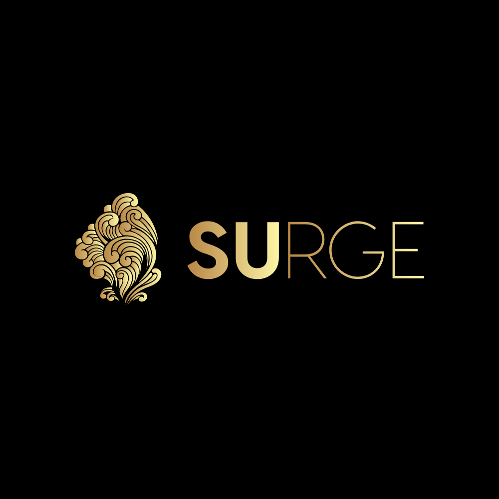 Photo of Surge Freelancing Marketplace