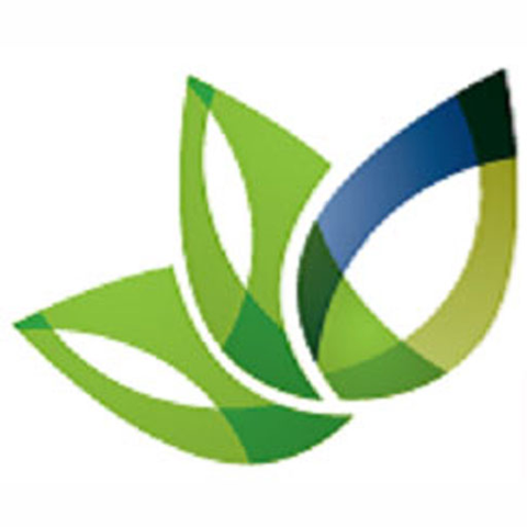 Bloom Family Dental Official Logo