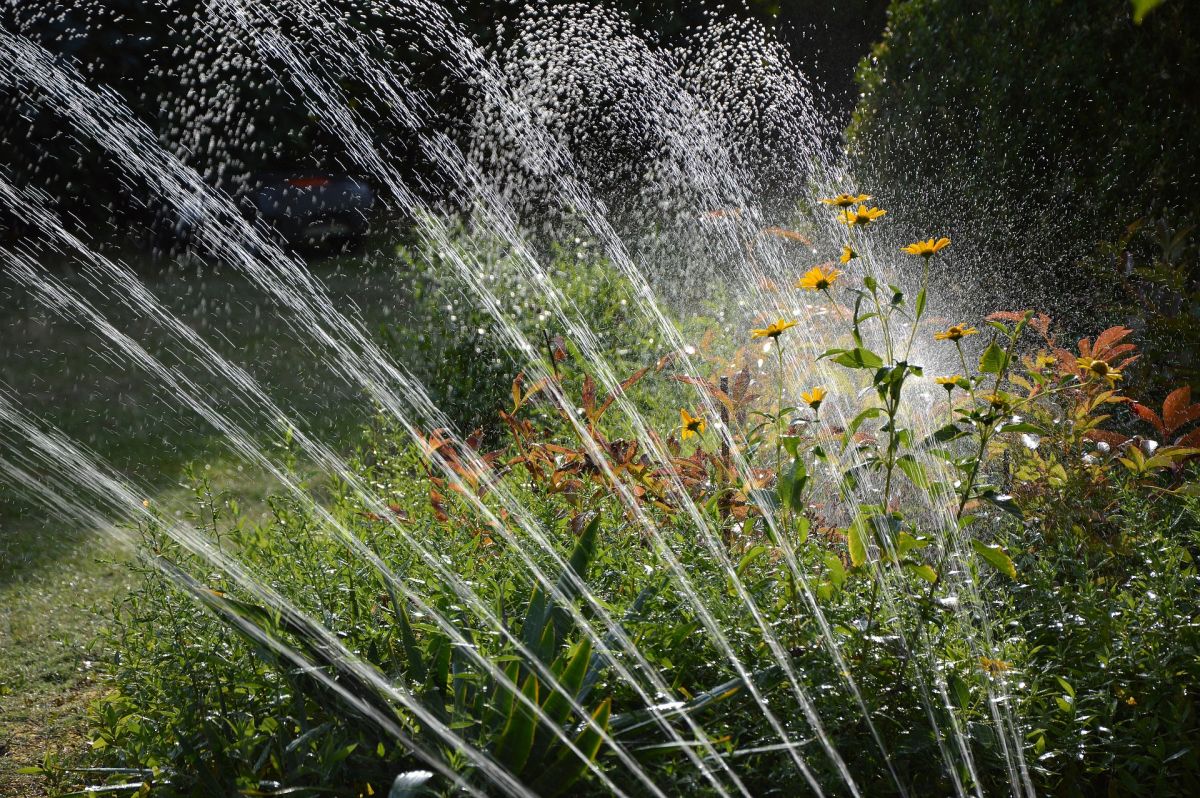 Photo of Dapple Landscape Design