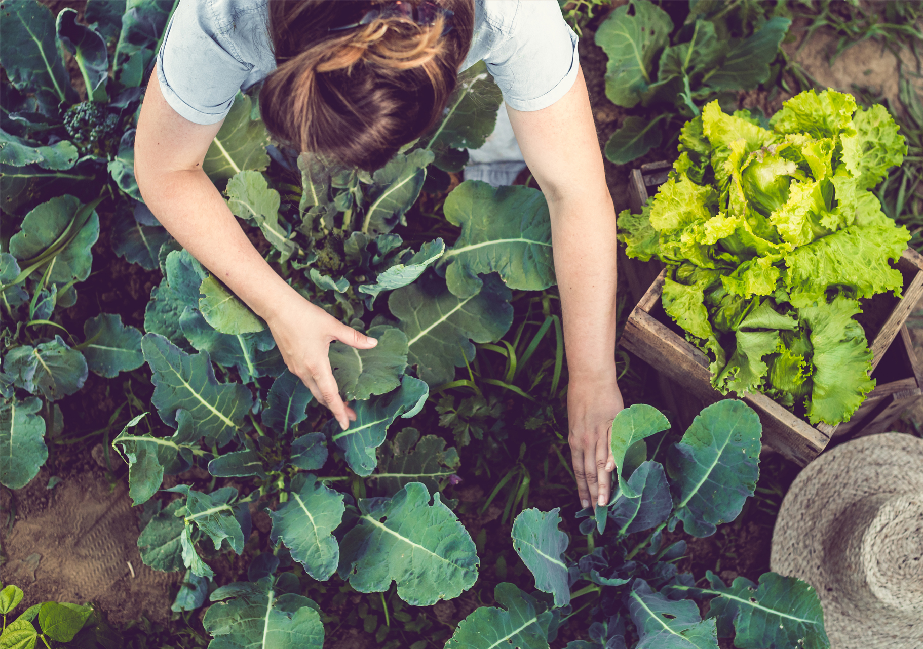 Photo of Maloneys Grocer