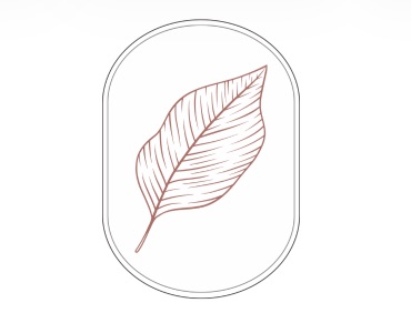 Red Leaf Roof & Gutter Official Logo