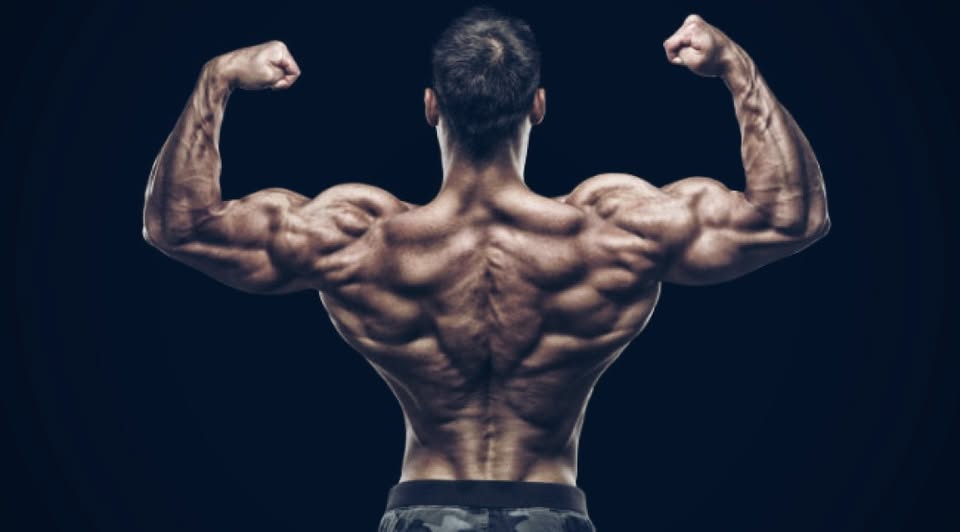 Photo of S.M.V Fitness Private Limited