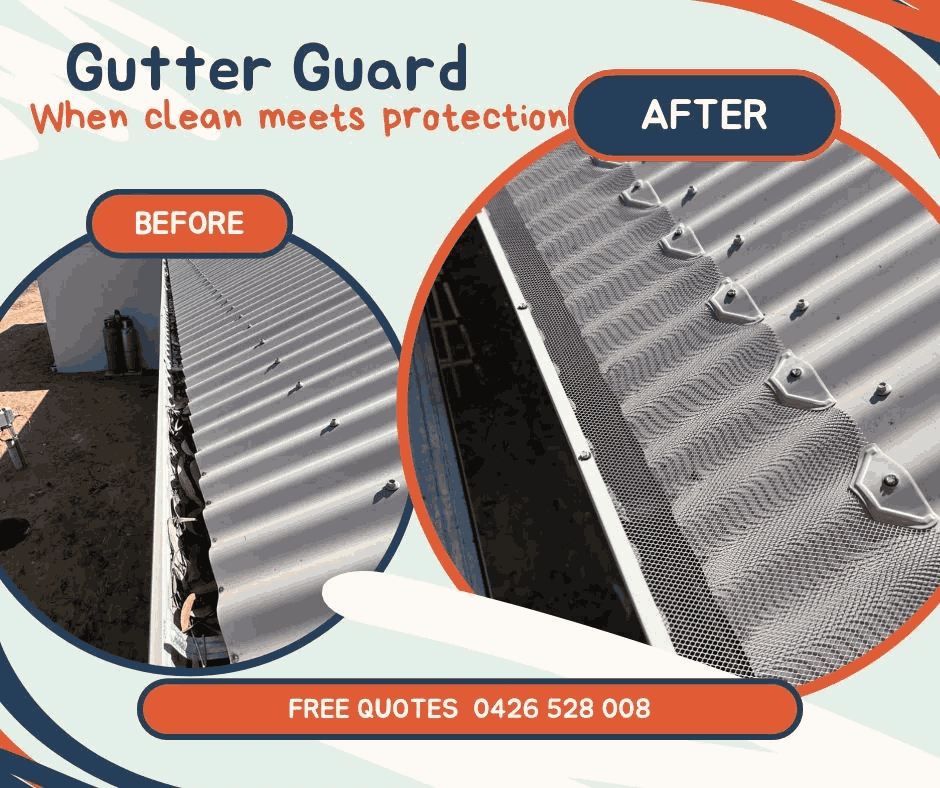 Photo of Shine and Shield