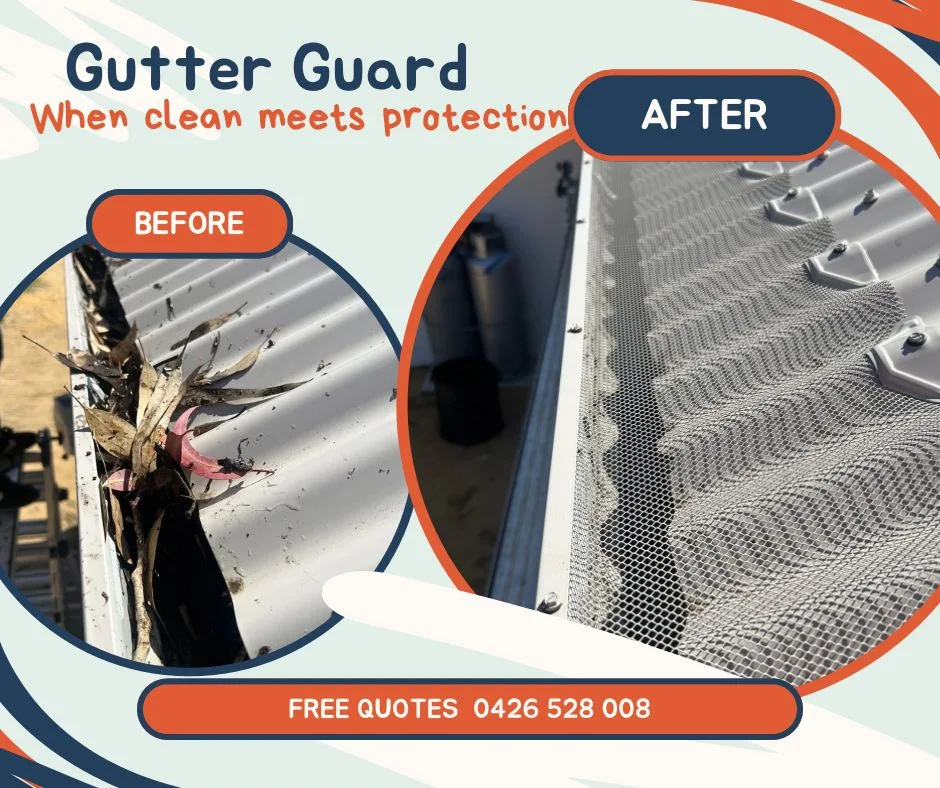 Photo of Shine and Shield