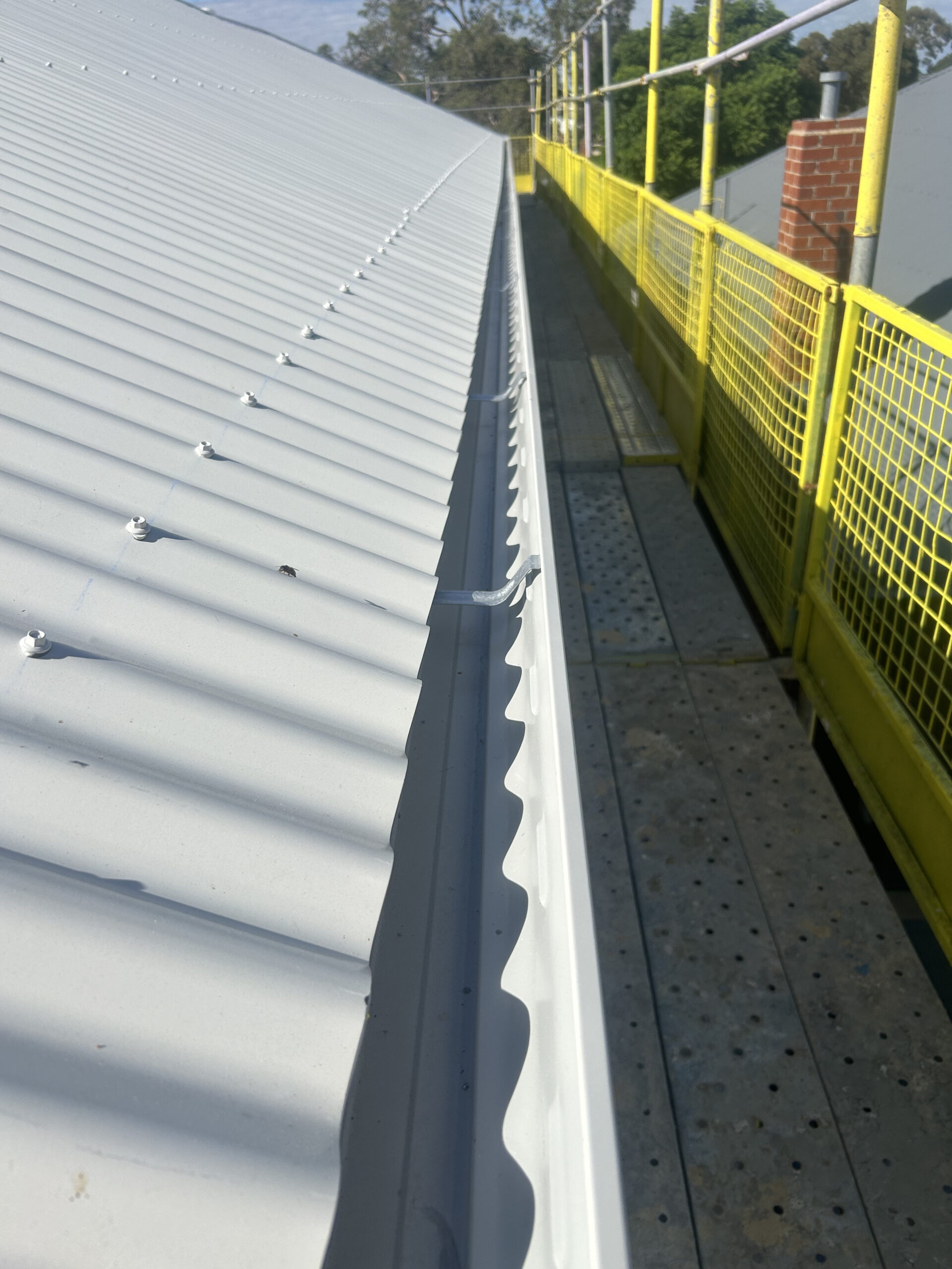 Photo of Shine and Shield