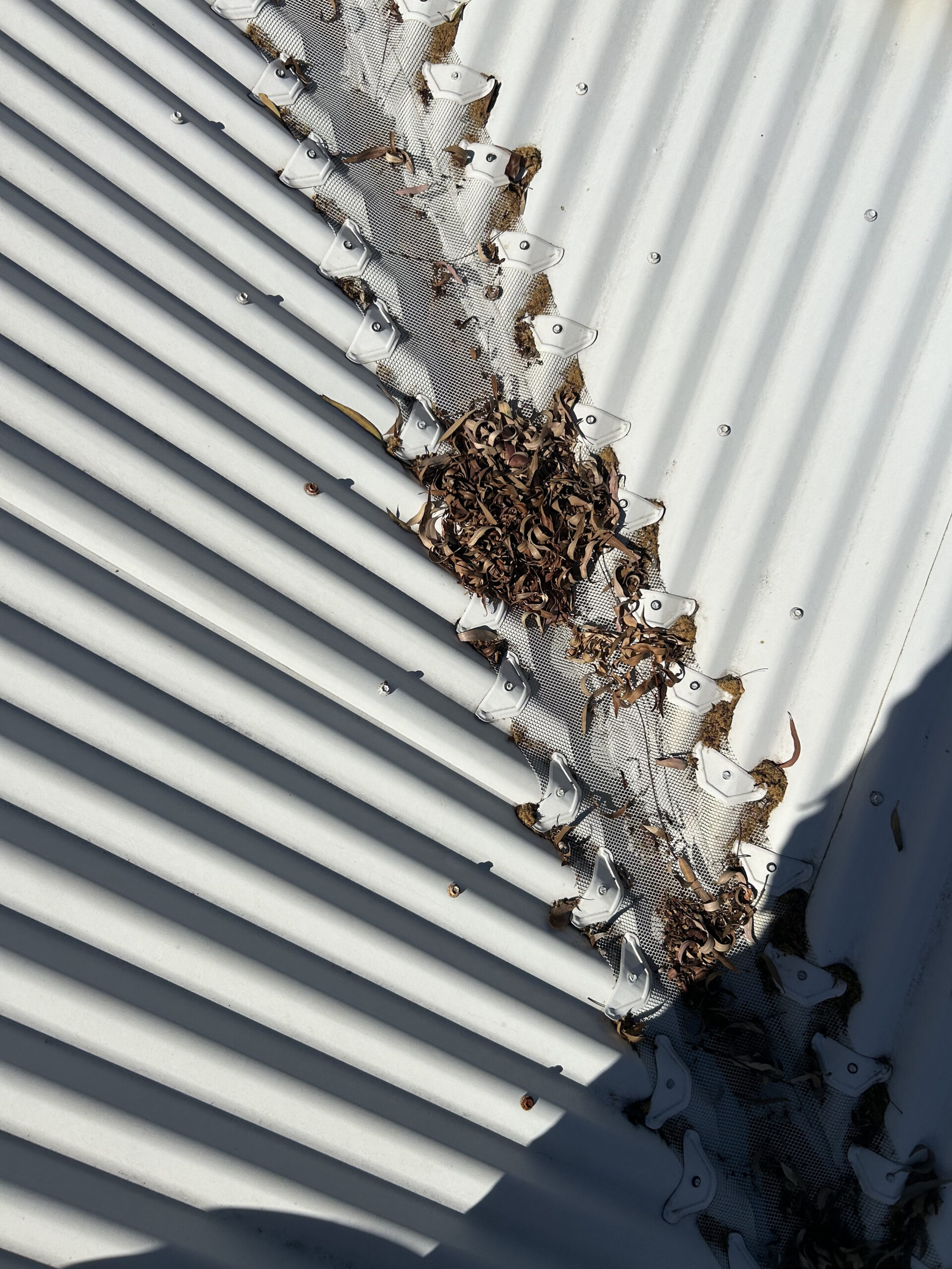 Photo of Shine and Shield