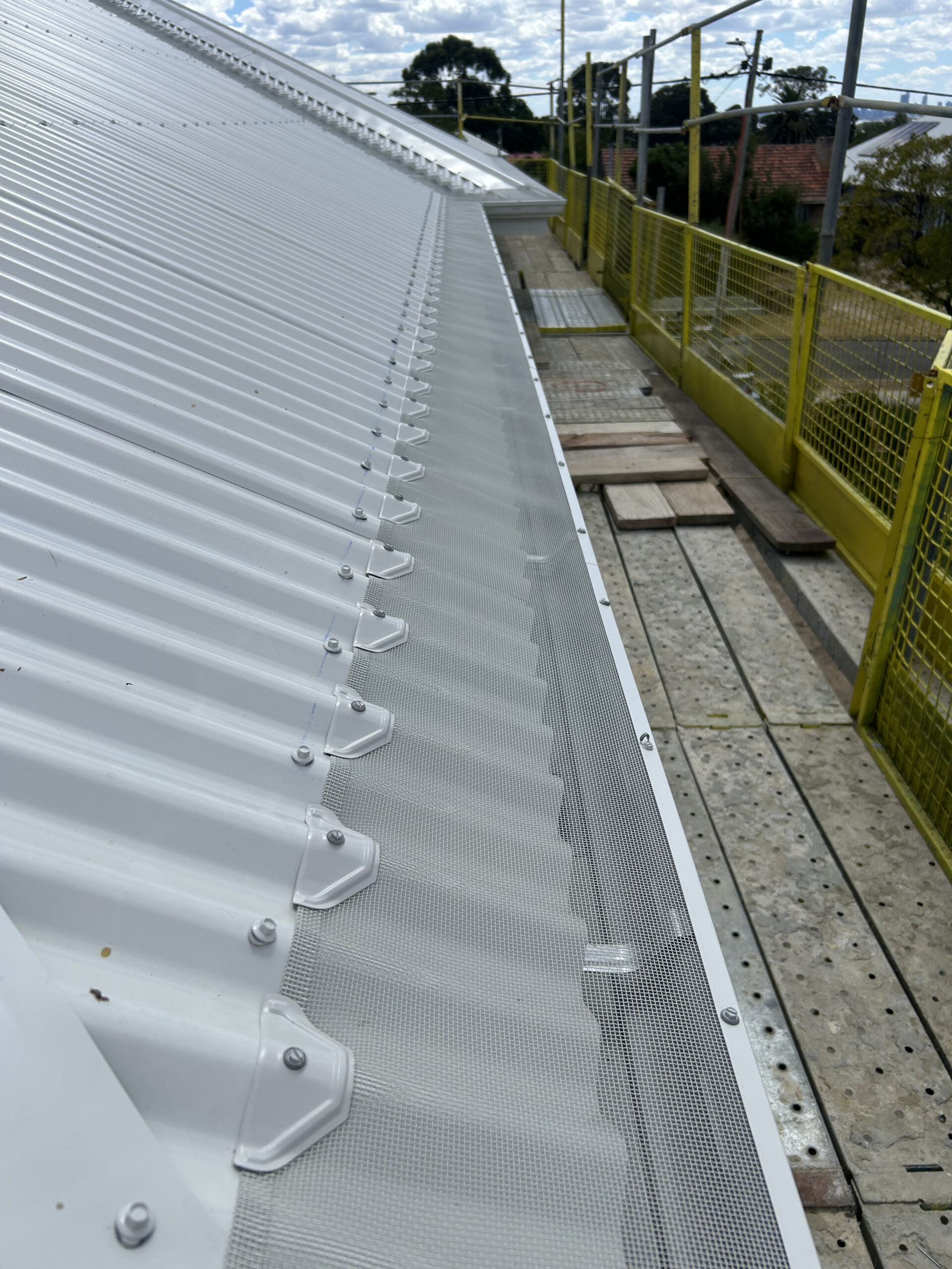 Photo of Shine and Shield