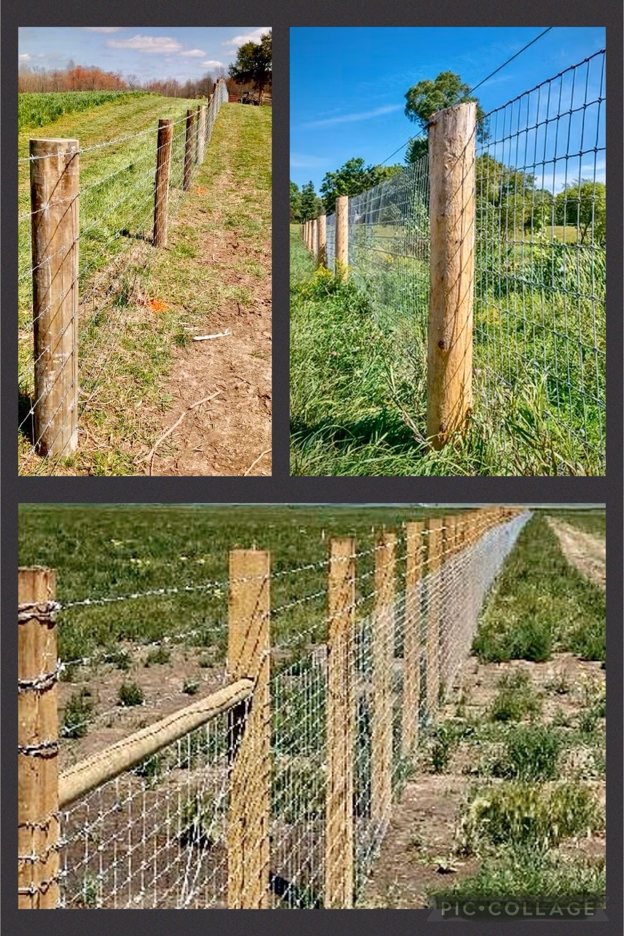 Photo of Premier Fence Co