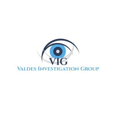 Valdes Investigation Group Official Logo