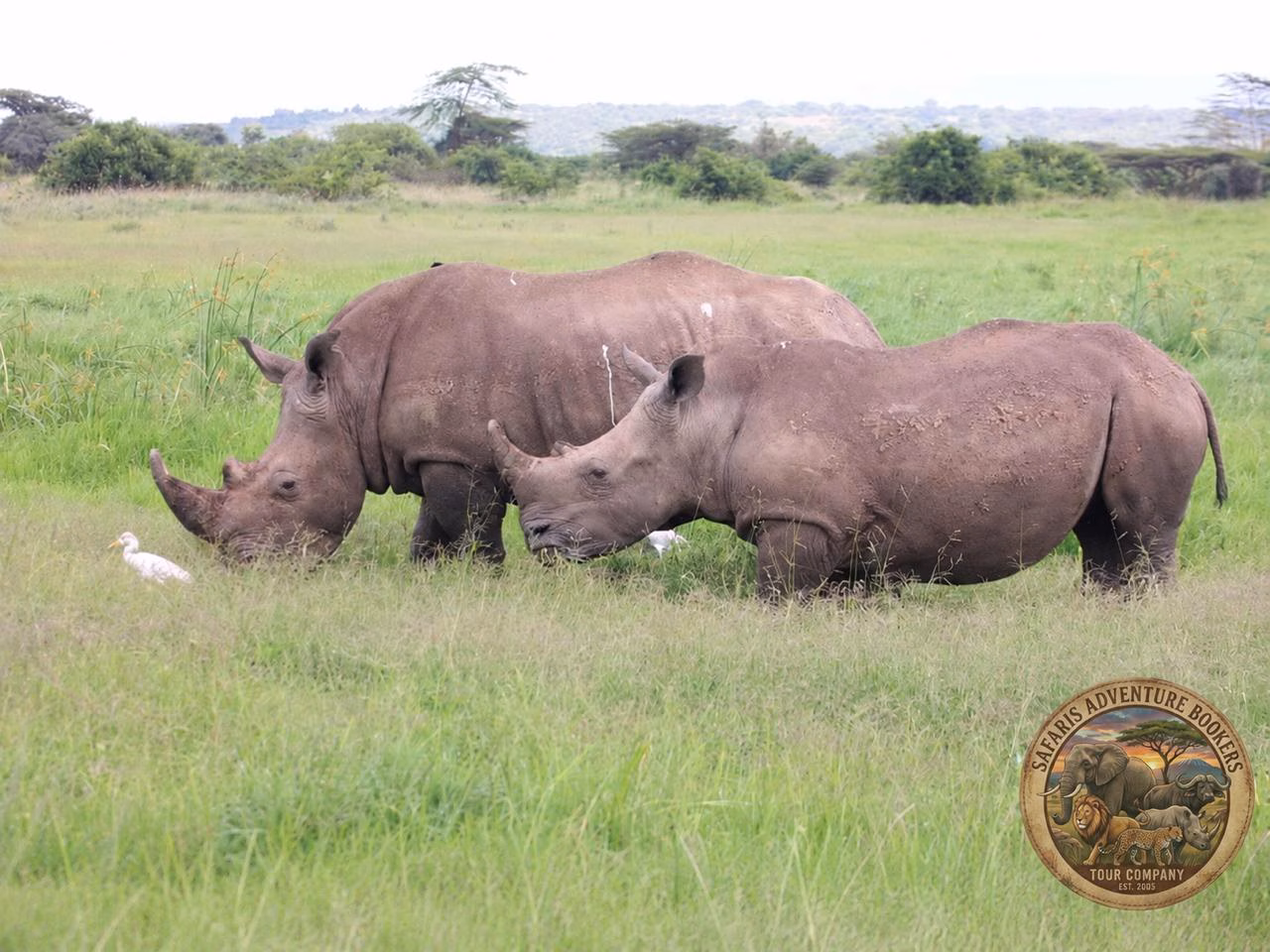 Photo of SAFARIS ADVENTURE BOOKERS