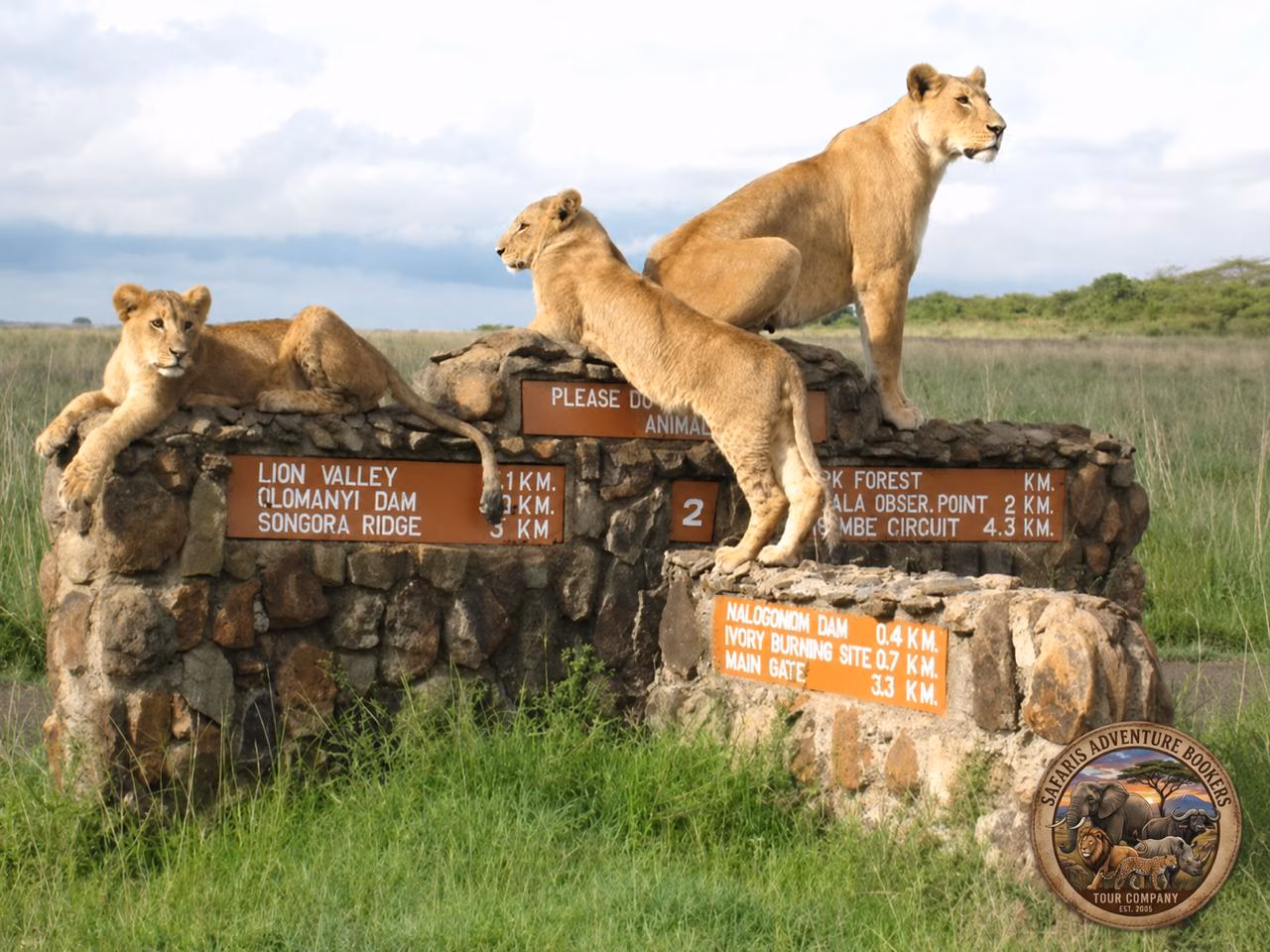 Photo of SAFARIS ADVENTURE BOOKERS