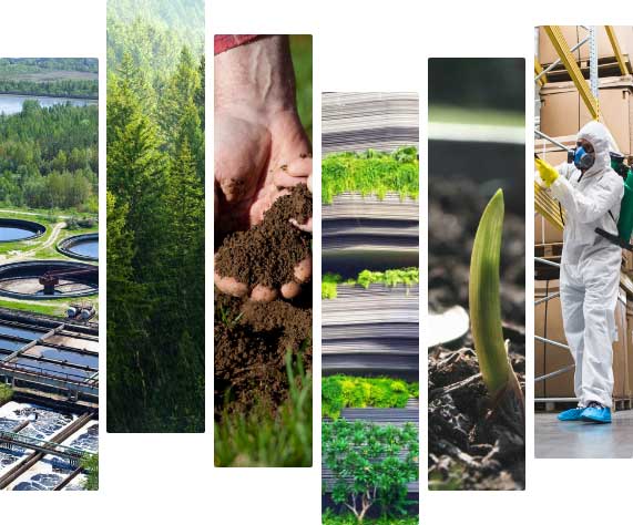 Photo of Waey Environmental Consultancy