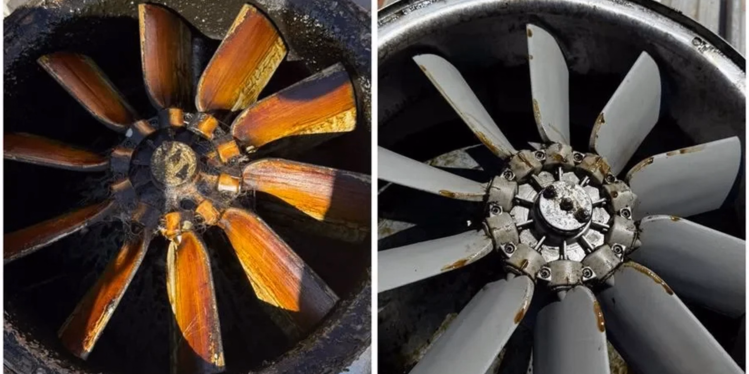 Photo of Boost Canopy Cleaning Melbourne