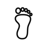 AEO Footnotes Official Logo